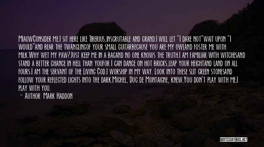 No One Knows Me Like You Quotes By Mark Haddon