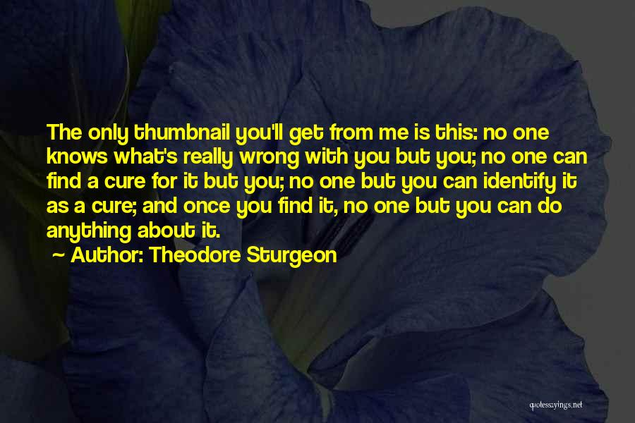 No One Knows Me Quotes By Theodore Sturgeon