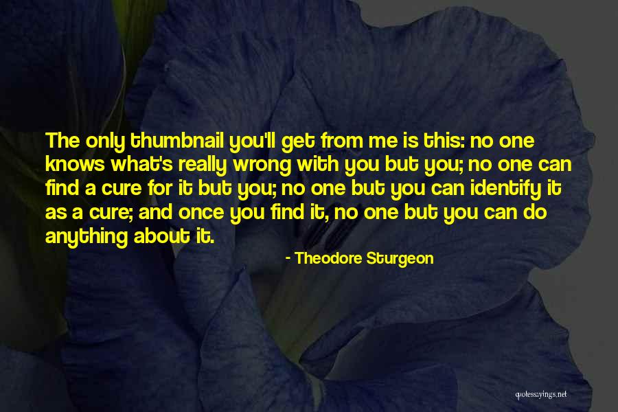 No One Knows Me Quotes By Theodore Sturgeon