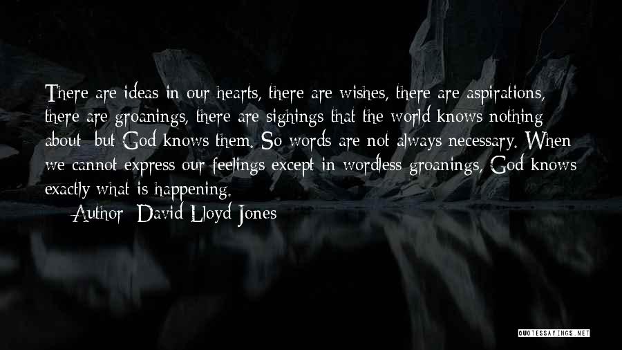No One Knows My Feelings Quotes By David Lloyd-Jones