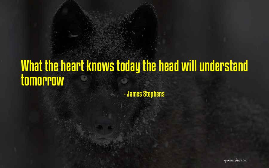 No One Knows Tomorrow Quotes By James Stephens