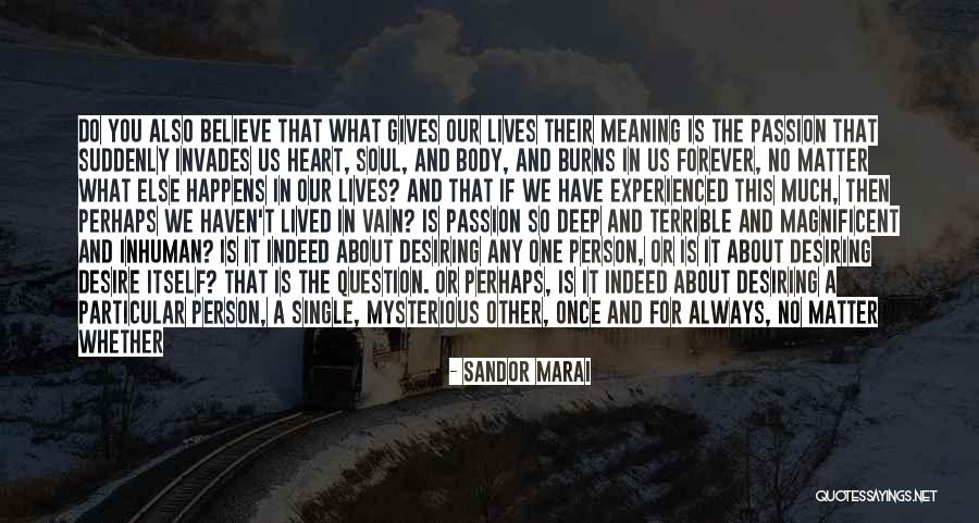 No One Lives Forever Quotes By Sandor Marai No One Lives Forever Quotes By Sandor Marai