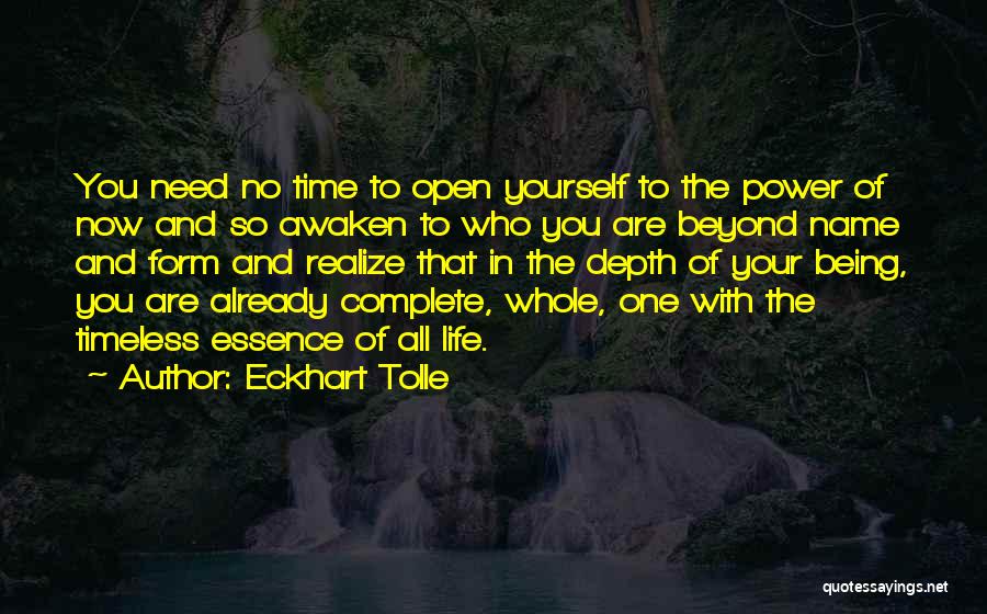No One Needs You Quotes By Eckhart Tolle