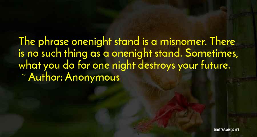 No One Night Stand Quotes By Anonymous