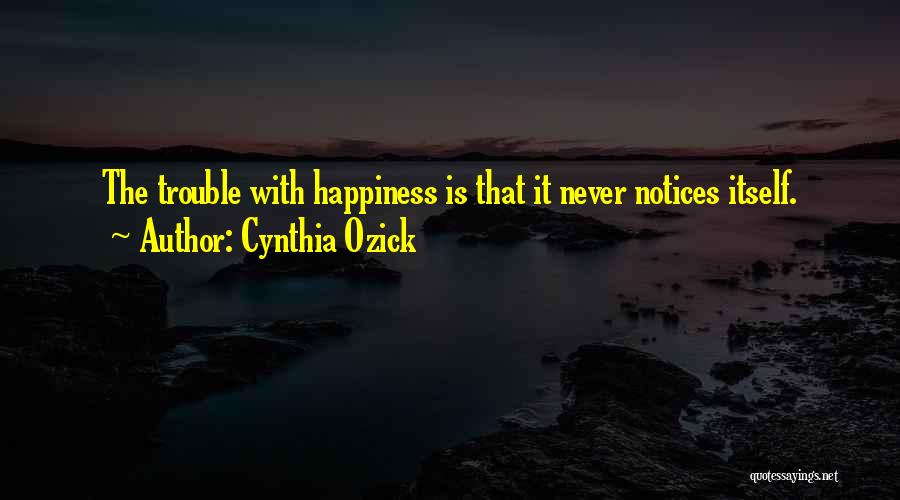 No One Notices Me Quotes By Cynthia Ozick