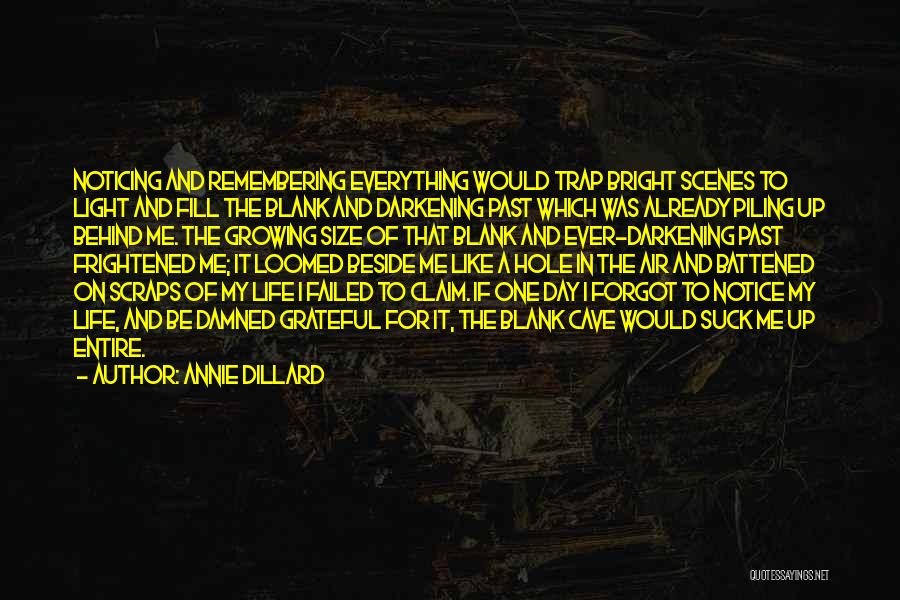 No One Noticing You Quotes By Annie Dillard