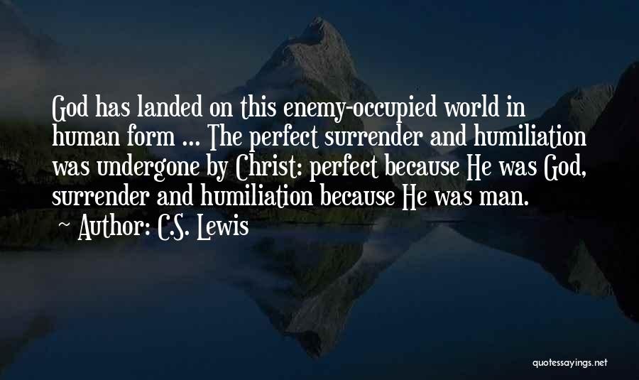 No One Perfect In This World Quotes By C.S. Lewis