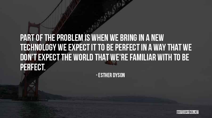 No One Perfect In This World Quotes By Esther Dyson