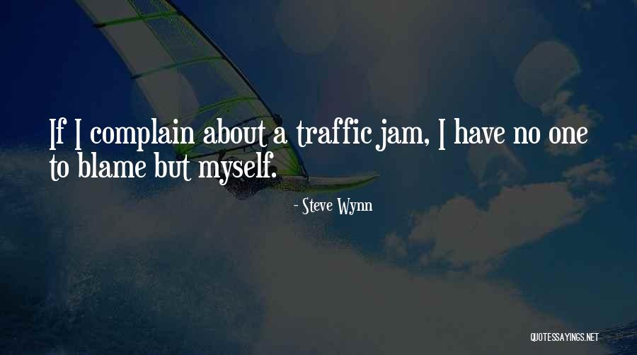 No One To Blame But Myself Quotes By Steve Wynn