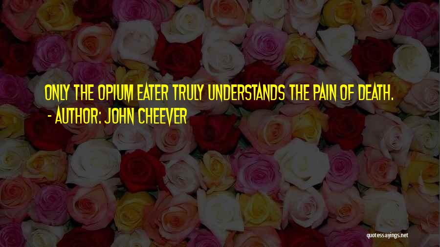 No One Truly Understands Quotes By John Cheever