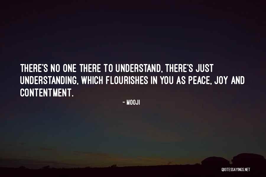 No One Understand Quotes By Mooji