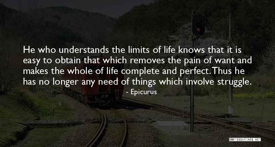 No One Understands My Pain Quotes By Epicurus