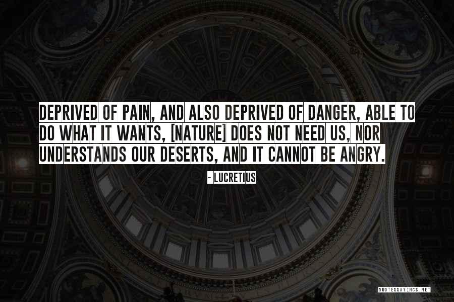 No One Understands My Pain Quotes By Lucretius