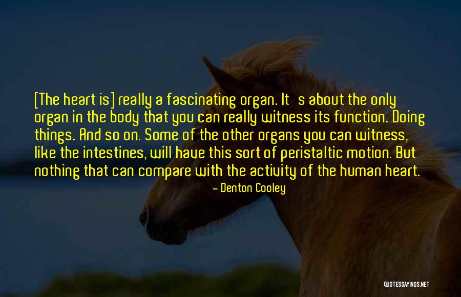 No One Will Ever Compare To You Quotes By Denton Cooley No One Will Ever Compare To You Quotes By Denton Cooley