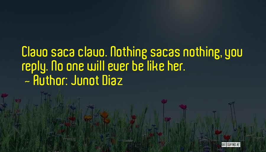 No One Will Ever Quotes By Junot Diaz