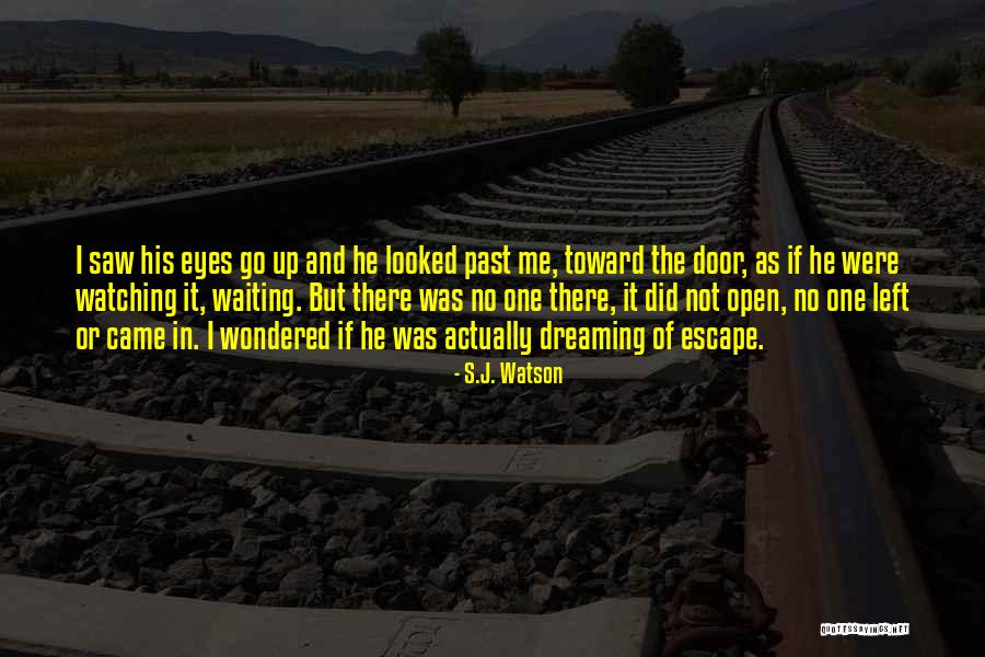 No Past Quotes By S.J. Watson No Past Quotes By S.J. Watson