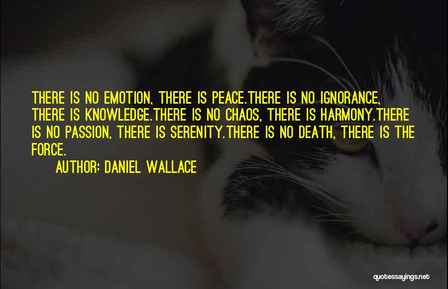 No Peace Quotes By Daniel Wallace