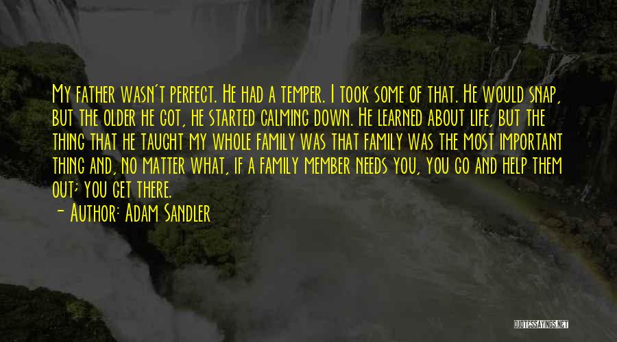 No Perfect Family Quotes By Adam Sandler