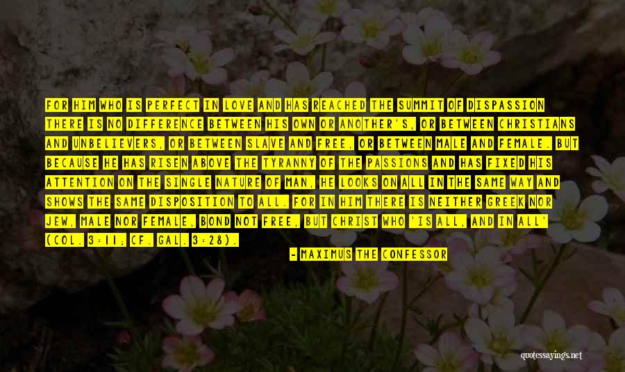 No Perfect Man Quotes By Maximus The Confessor No Perfect Man Quotes By Maximus The Confessor