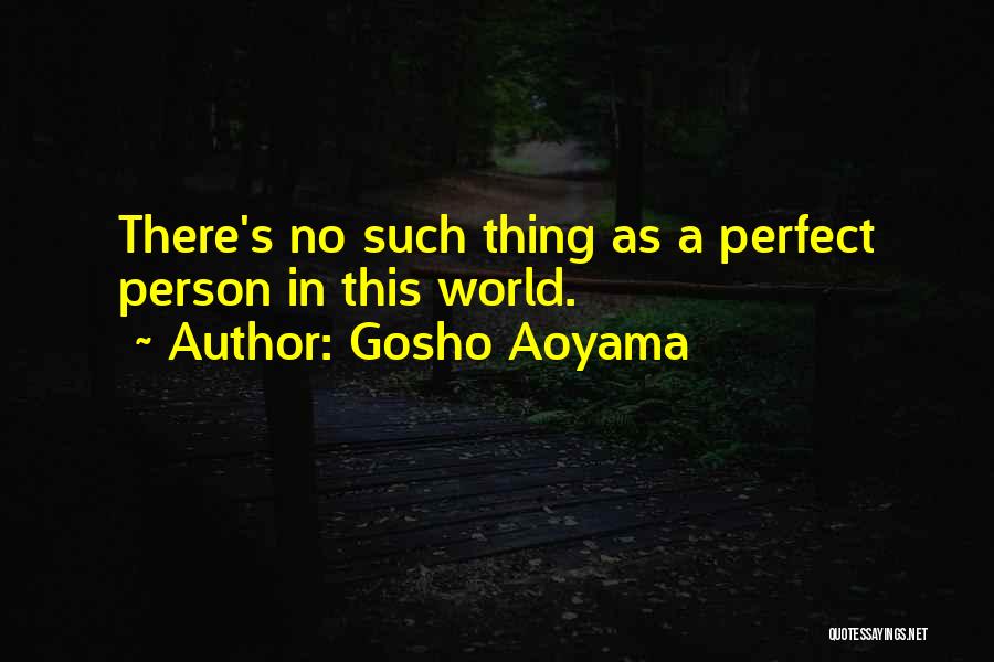 No Perfect Person Quotes By Gosho Aoyama