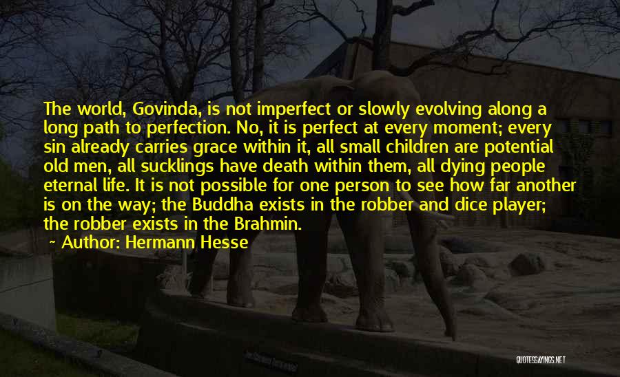 No Perfect Person Quotes By Hermann Hesse