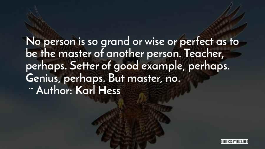 No Perfect Person Quotes By Karl Hess