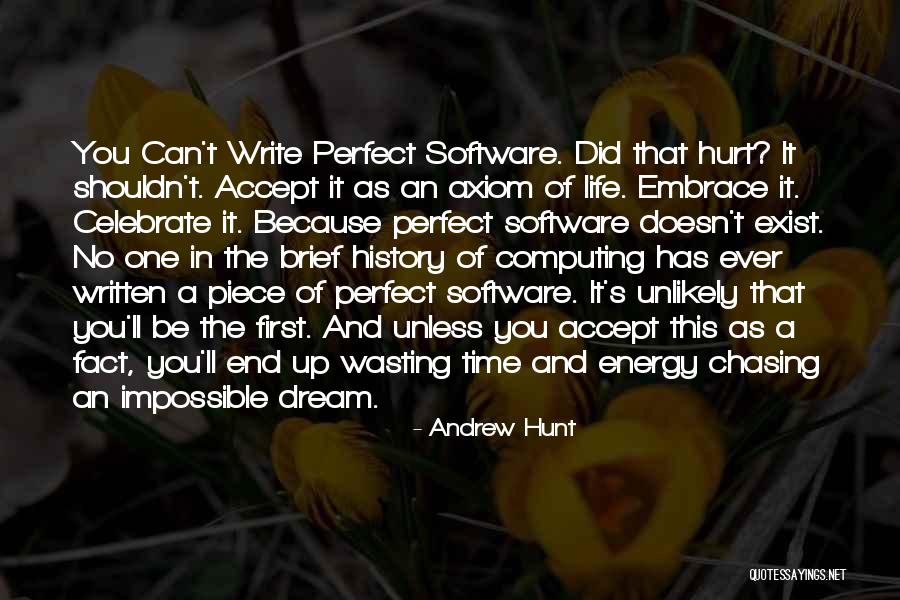 No Perfect Time Quotes By Andrew Hunt