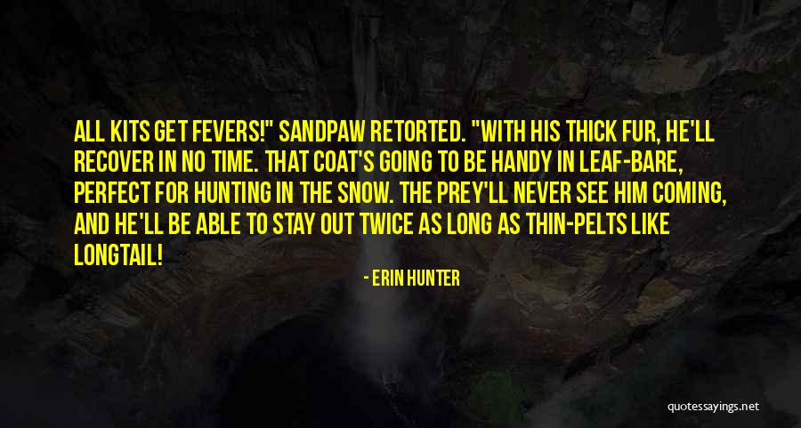 No Perfect Time Quotes By Erin Hunter