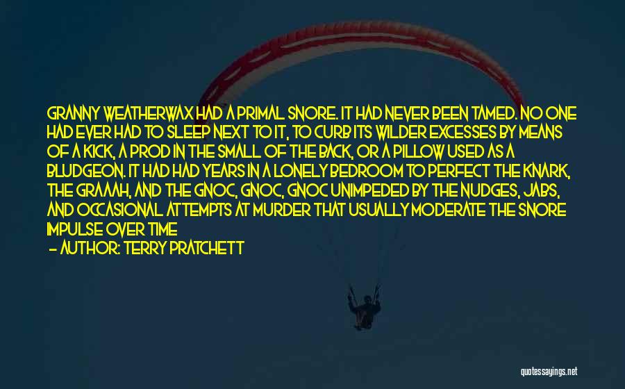 No Perfect Time Quotes By Terry Pratchett