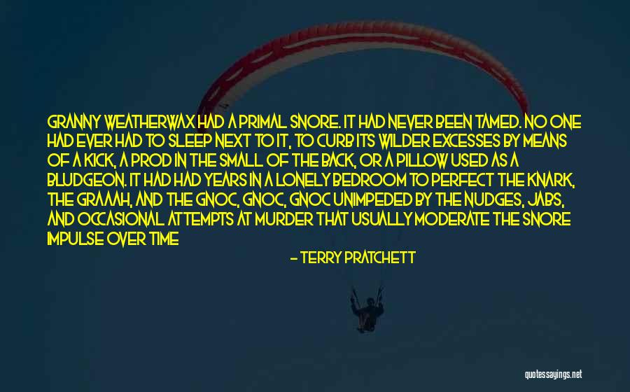 No Perfect Time Quotes By Terry Pratchett