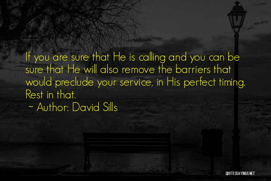 No Perfect Timing Quotes By David Sills