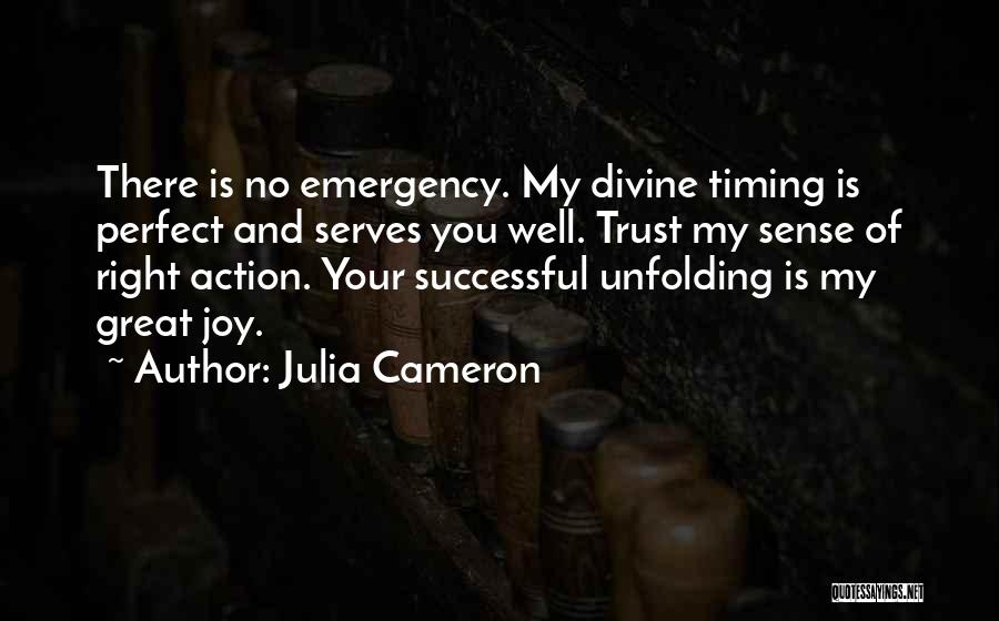 No Perfect Timing Quotes By Julia Cameron