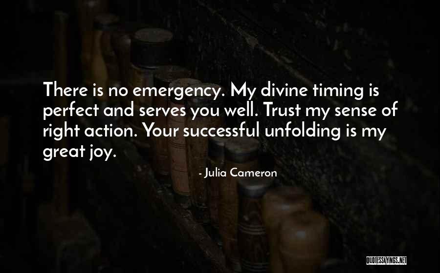 No Perfect Timing Quotes By Julia Cameron