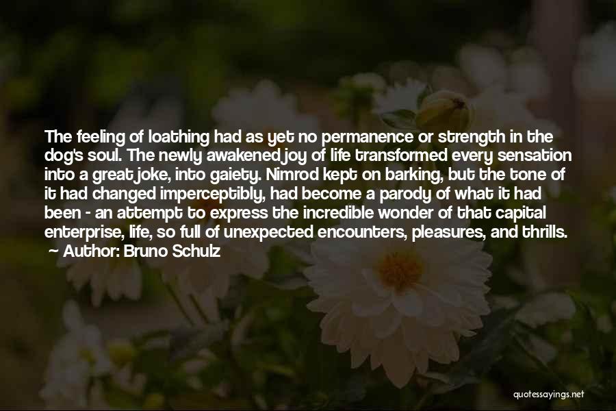 No Permanence Quotes By Bruno Schulz