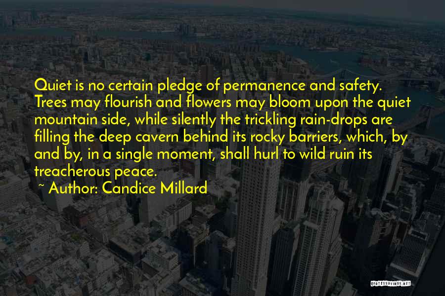 No Permanence Quotes By Candice Millard