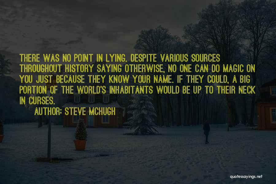 No Point In Lying Quotes By Steve McHugh