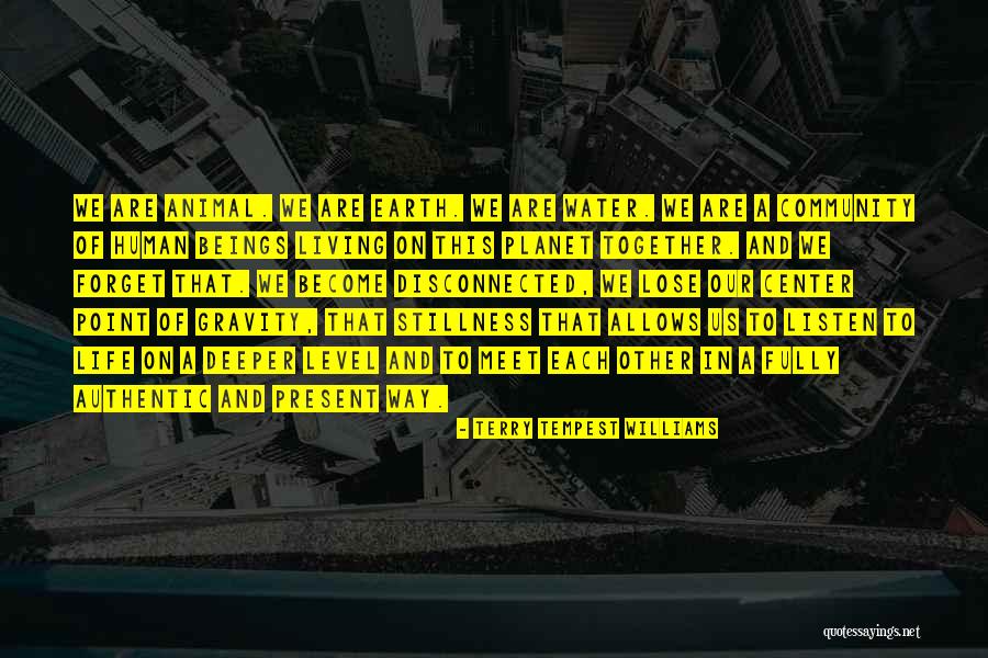 No Point Living In The Past Quotes By Terry Tempest Williams No Point Living In The Past Quotes By Terry Tempest Williams