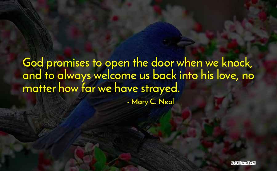 No Promises Quotes By Mary C. Neal