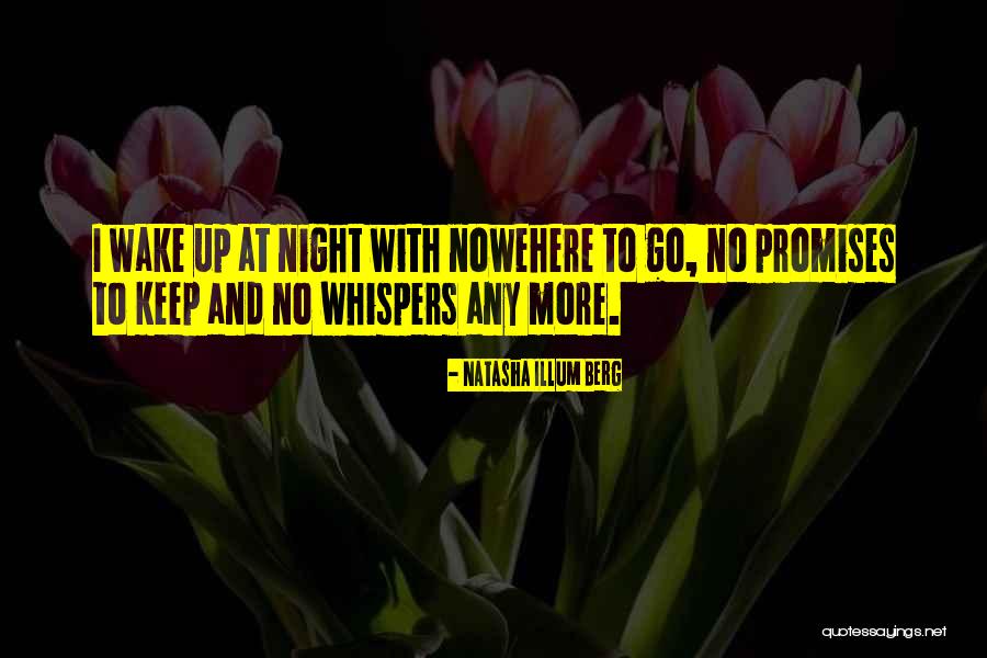 No Promises Quotes By Natasha Illum Berg