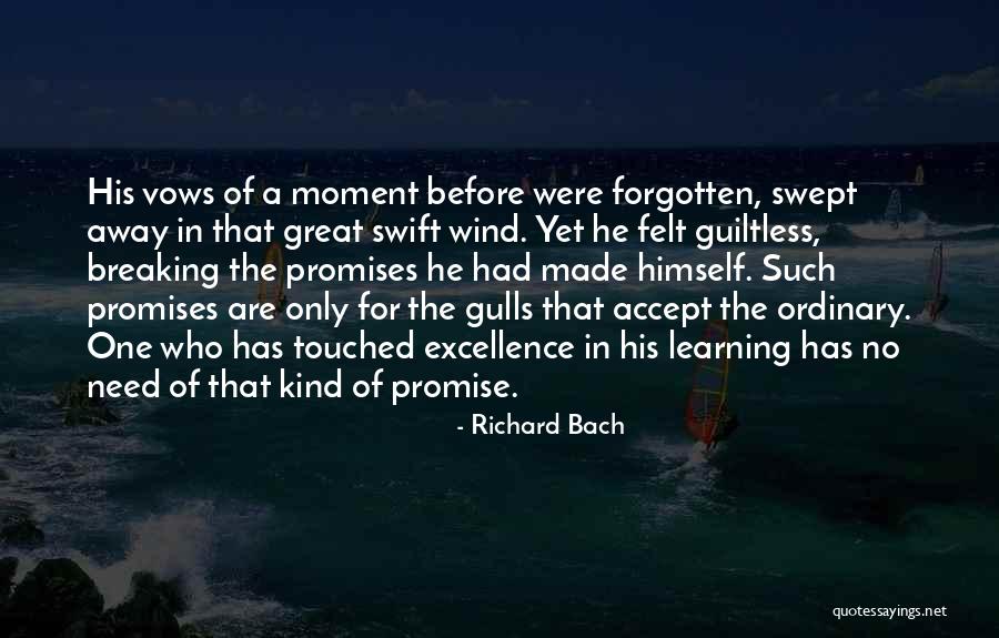 No Promises Quotes By Richard Bach