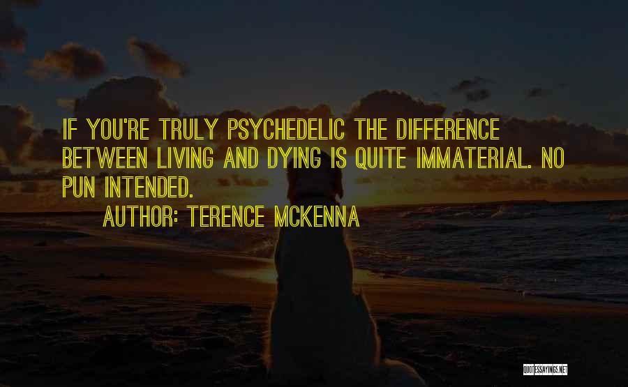 No Pun Intended Quotes By Terence McKenna