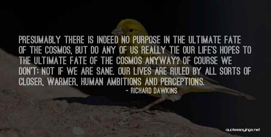 No Purpose In Life Quotes By Richard Dawkins