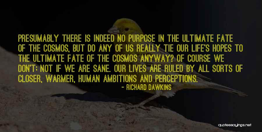 No Purpose Life Quotes By Richard Dawkins