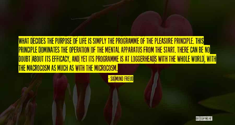 No Purpose Life Quotes By Sigmund Freud