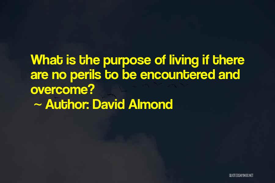 No Reason For Living Quotes By David Almond