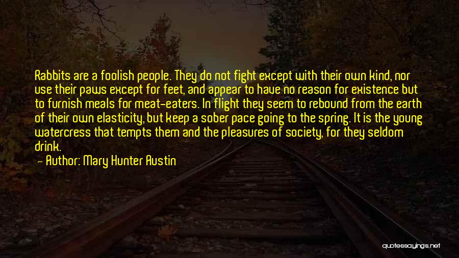 No Reason To Fight Quotes By Mary Hunter Austin