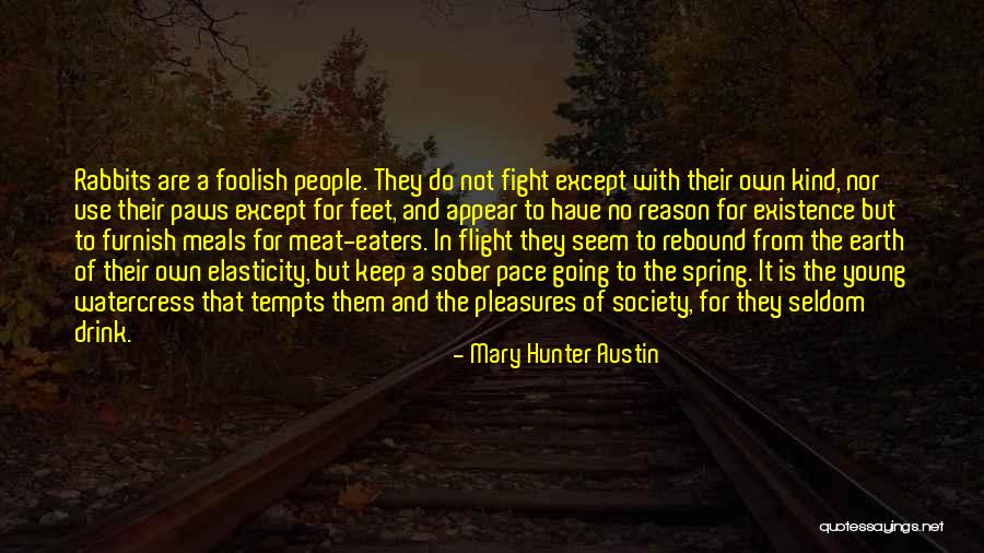 No Reason To Fight Quotes By Mary Hunter Austin