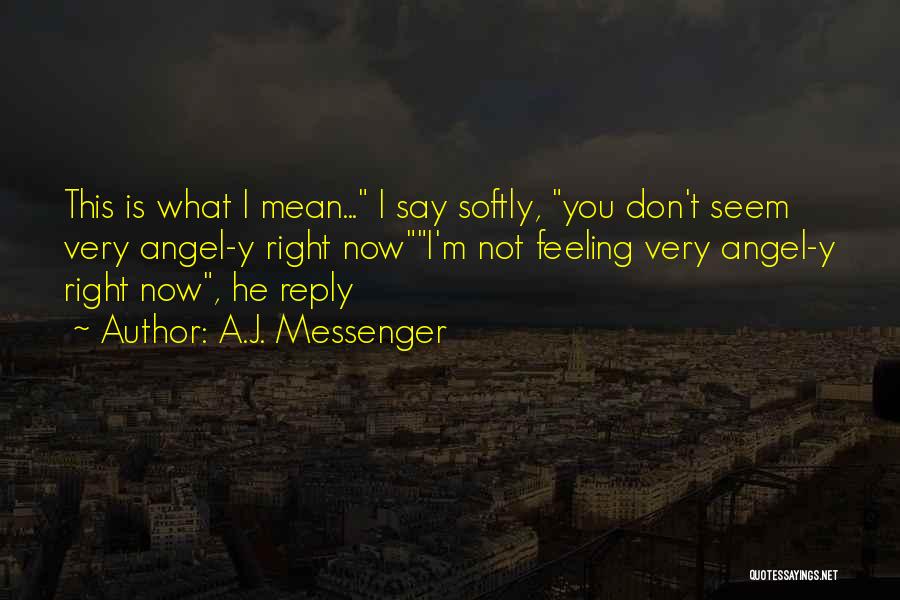 No Reply From You Quotes By A.J. Messenger