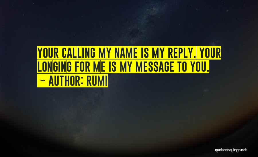 No Reply Message Quotes By Rumi