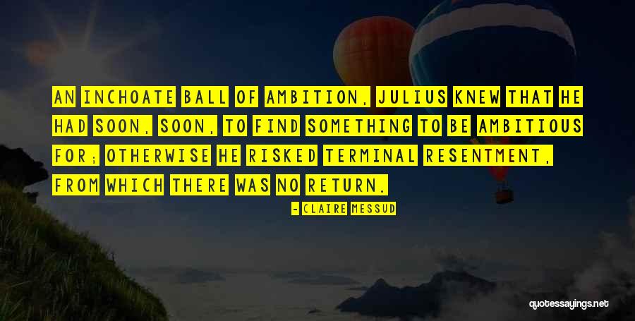 No Resentment Quotes By Claire Messud No Resentment Quotes By Claire Messud
